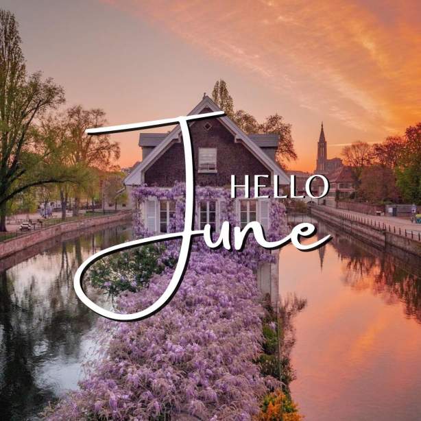 Hello June