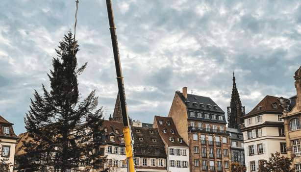 Le Grand Sapin du Marché de Noël de Strasbourg 